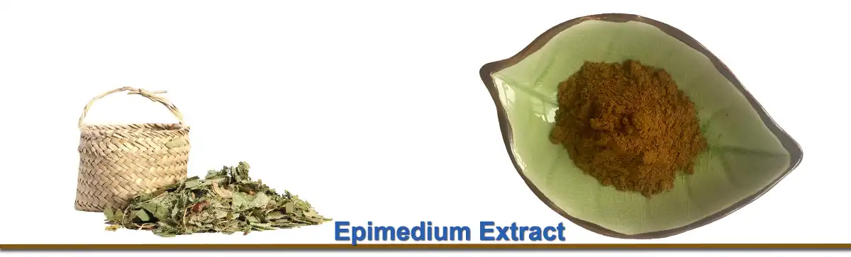 Epimedium Extract AAAAAA.jpg